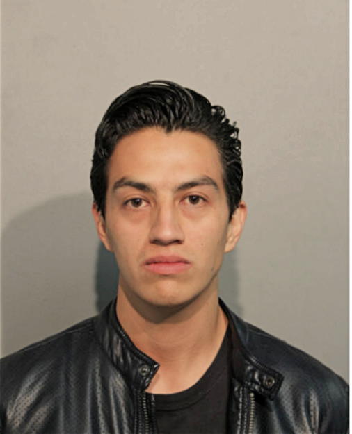 JUAN F RUEDA, Cook County, Illinois