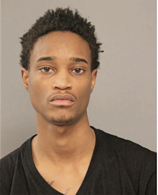 JOSHUA T SANDERS, Cook County, Illinois