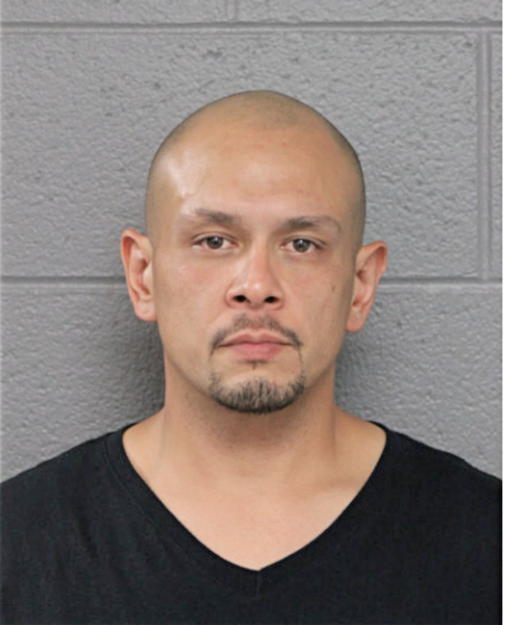 NATHAN T SKENANDORE, Cook County, Illinois