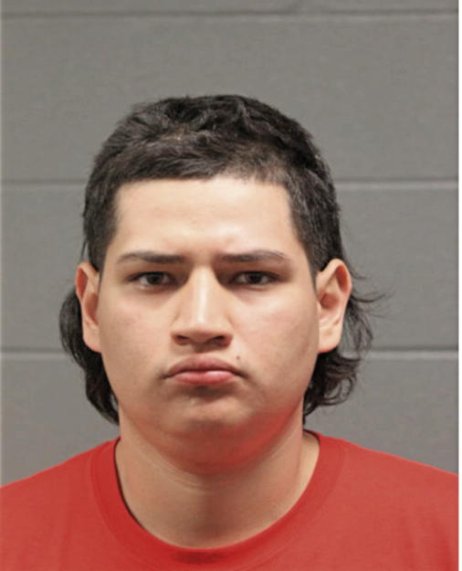 FRANCISCO J ALVARES, Cook County, Illinois