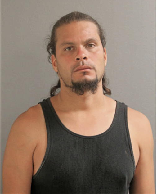 JULIO A BERMUDEZ-ROMAN, Cook County, Illinois