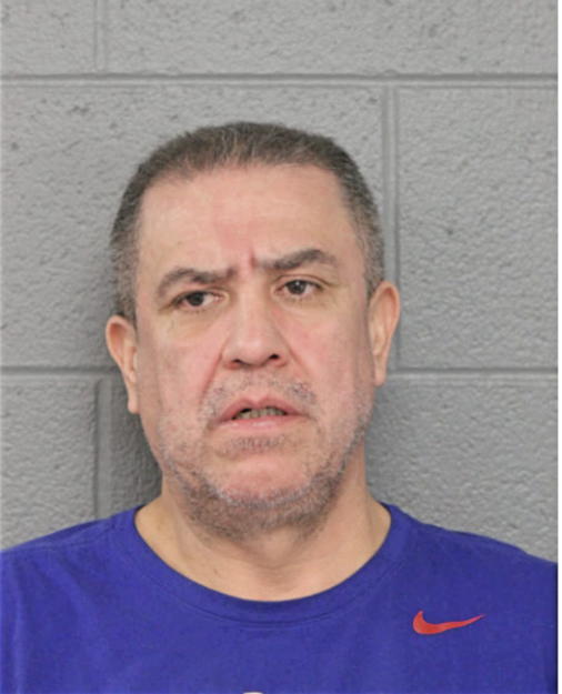 LUIS M CASTANEDA, Cook County, Illinois