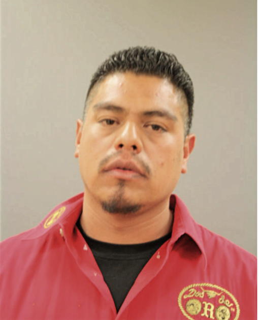 RAMON DELGADO, Cook County, Illinois