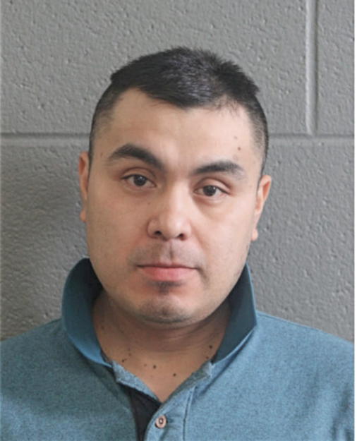 CELESTINO ESTEBAN-DEGANTE, Cook County, Illinois