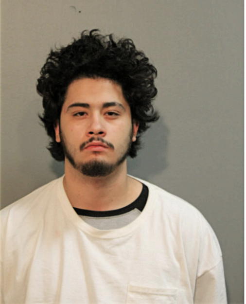 MANUEL GAMA, Cook County, Illinois