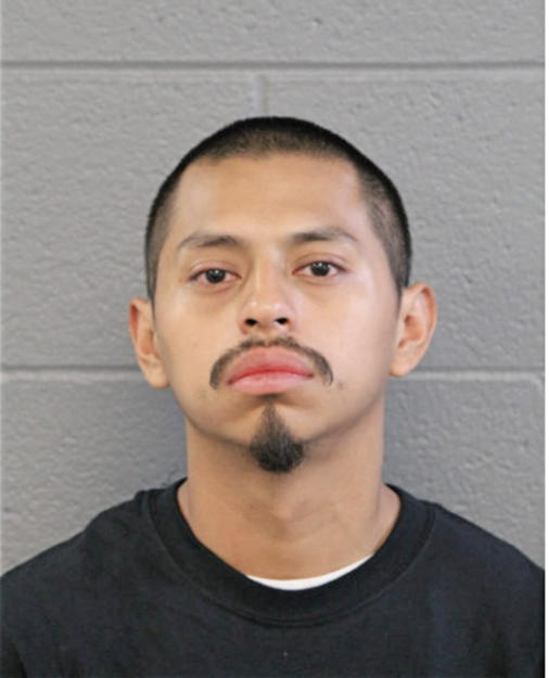 DAVID ORTIZ GOMEZ, Cook County, Illinois
