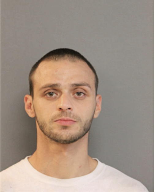 DANIEL W GONZALEZ, Cook County, Illinois