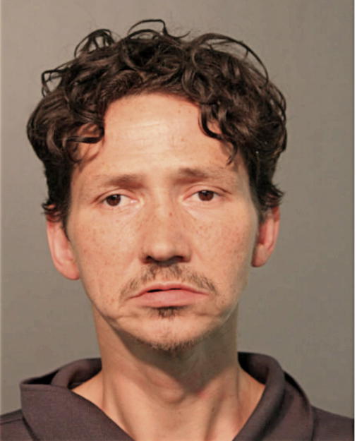 RAYMOND C HAMILTON, Cook County, Illinois