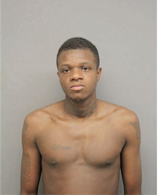 STEPHON D JOHNSON, Cook County, Illinois