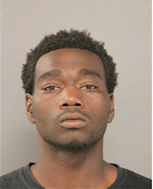MICHAEL T KING, Cook County, Illinois