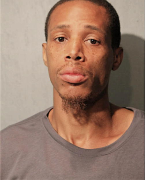 DAMIAN E MCCLENDON, Cook County, Illinois