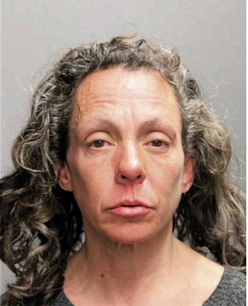 AMY MOYLE, Cook County, Illinois