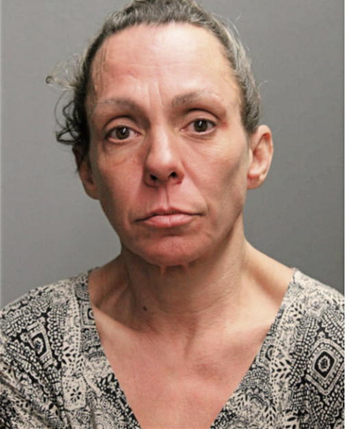 AMY J MOYLES, Cook County, Illinois