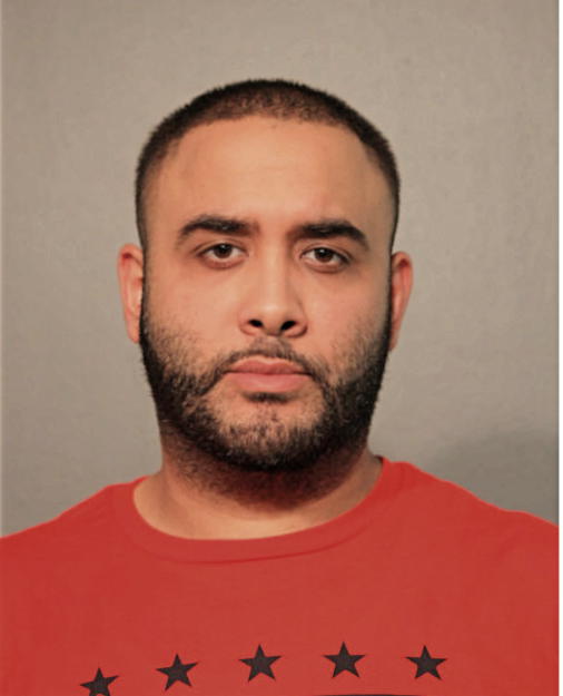 TAMER M NOUFEL, Cook County, Illinois