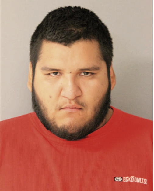 JERONIMO PALAFOX, Cook County, Illinois