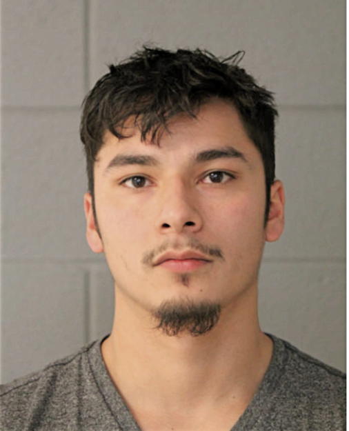 FERNANDO P PATINO, Cook County, Illinois