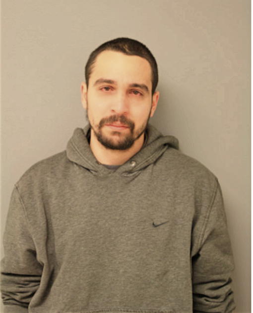 PATRICK POLO, Cook County, Illinois