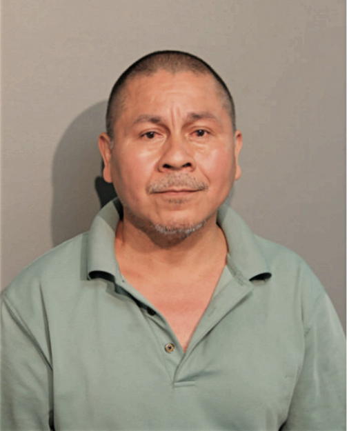 ALEJANDRO SALVADOR, Cook County, Illinois