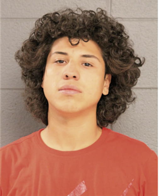 ALFREDO SANTANA-GUZMAN, Cook County, Illinois