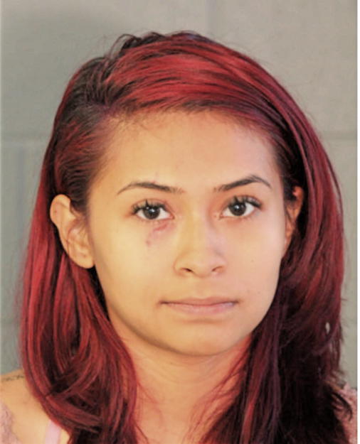 SAIDY E SOLIS, Cook County, Illinois