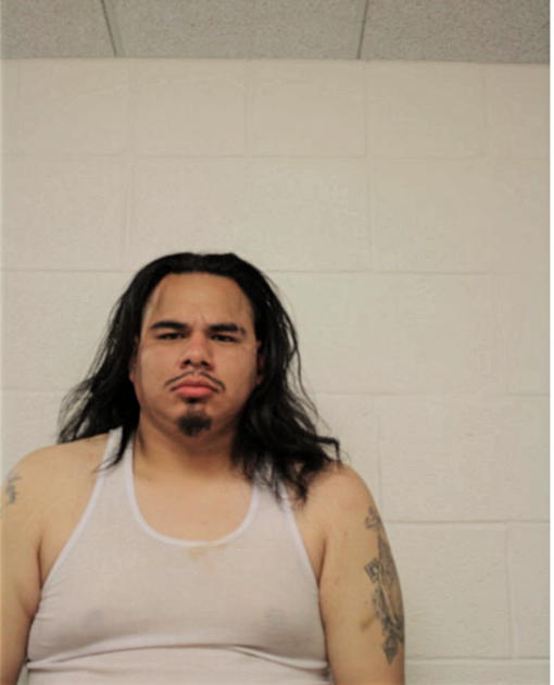 ADDINSON R VARELA, Cook County, Illinois