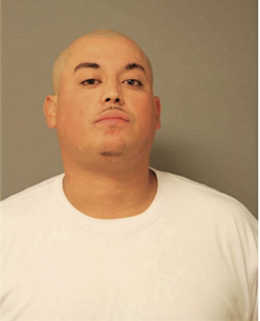 IRVING DAVID ZAMORA, Cook County, Illinois