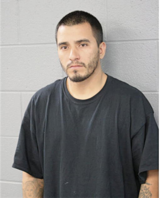 ISRAEL ZARAGOZA, Cook County, Illinois