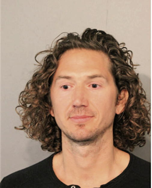 DAVID S ANDERSON, Cook County, Illinois