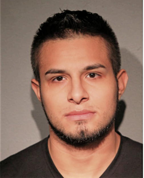 LUIS AYALA, Cook County, Illinois