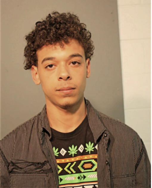 TERRELL T BONNER, Cook County, Illinois