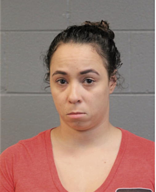 MEGAN M BOZEMAN, Cook County, Illinois