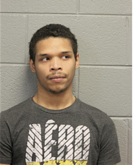 ANTHONY J CRUZ, Cook County, Illinois