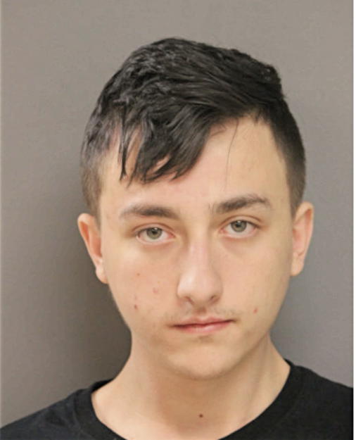 JOSEPH J DAVIDUKE, Cook County, Illinois