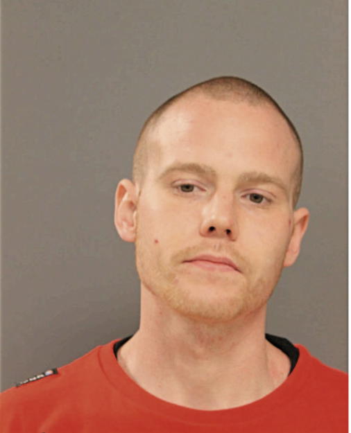 MICHAEL J DWYER, Cook County, Illinois