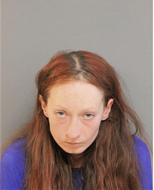 STEPHANIE L FEY, Cook County, Illinois