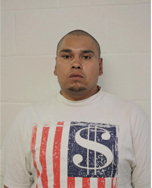 ROBERTO U FLORES, Cook County, Illinois