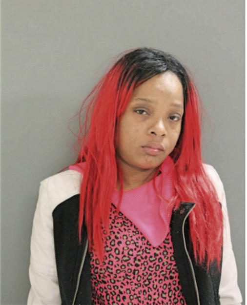 NATASHA A FORD, Cook County, Illinois