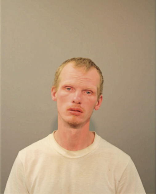 STEVEN P FOSS, Cook County, Illinois