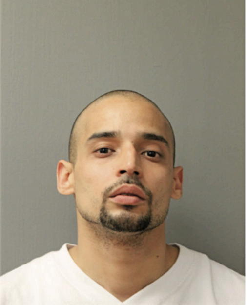 ANDRES M GONZALEZ, Cook County, Illinois