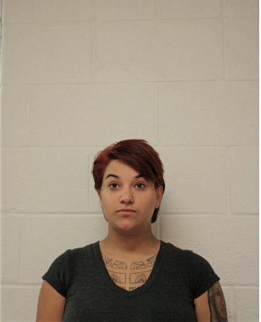 ALEXANDRA A GORSKI, Cook County, Illinois