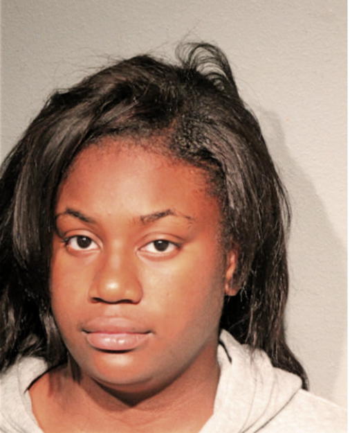 HEATHER J JENKINS, Cook County, Illinois