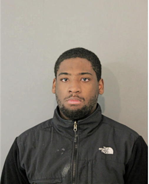WILLIAM L M BROWN, Cook County, Illinois