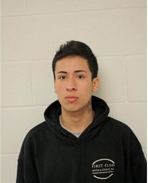 LUIS MENESES, Cook County, Illinois