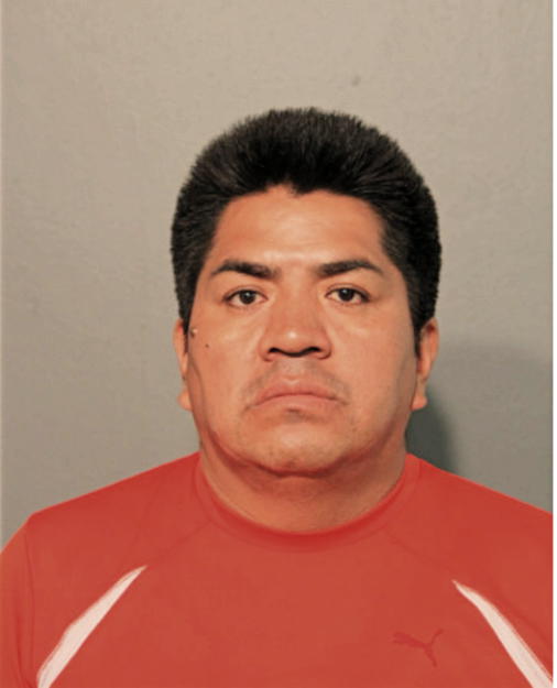 LUIS A NIVICELA, Cook County, Illinois