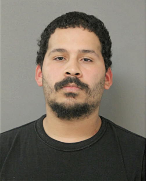 LUIS A RIVERA, Cook County, Illinois