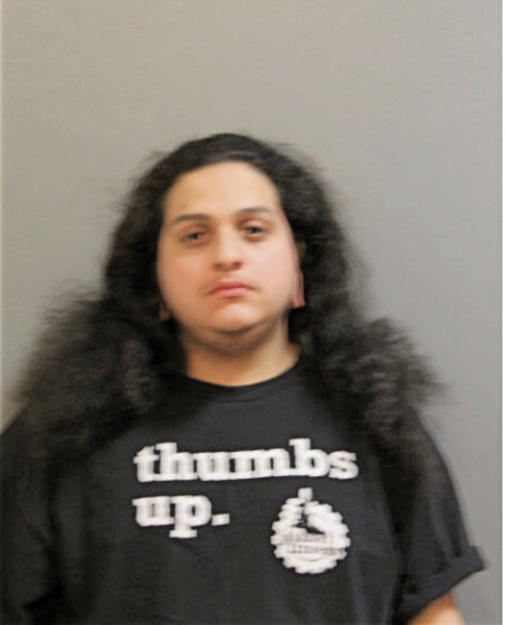 DIEGO G RODRIGUEZ, Cook County, Illinois