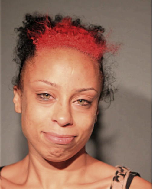 JESSICA L RUSHING, Cook County, Illinois