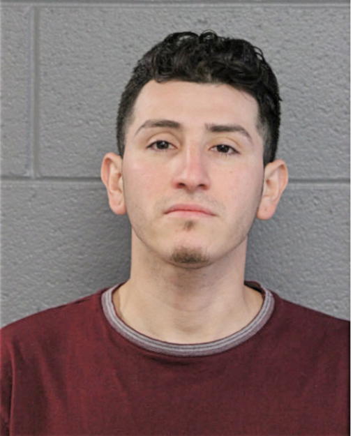 CARLOS TERRAZO, Cook County, Illinois