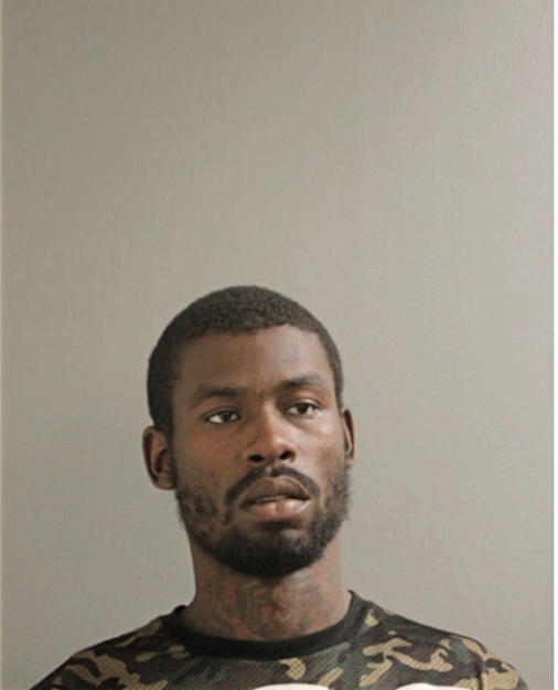 LAMARR T BELL, Cook County, Illinois
