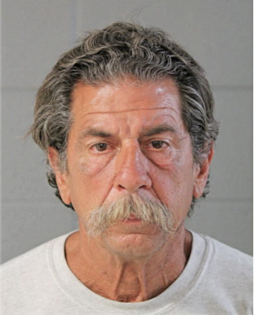 JOHN P BONAMER, Cook County, Illinois